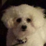 Right Sidebar Image Caption